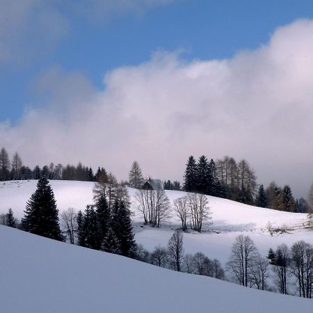 Вилла Urlaub Im Zirbenland Obdach Экстерьер фото