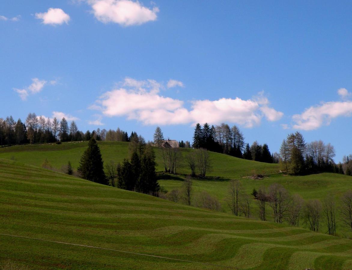 Вилла Urlaub Im Zirbenland Obdach Экстерьер фото