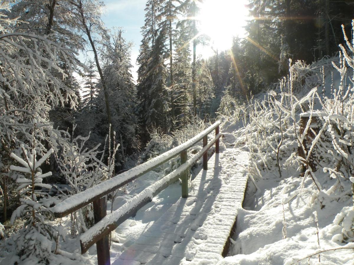 Вилла Urlaub Im Zirbenland Obdach Экстерьер фото