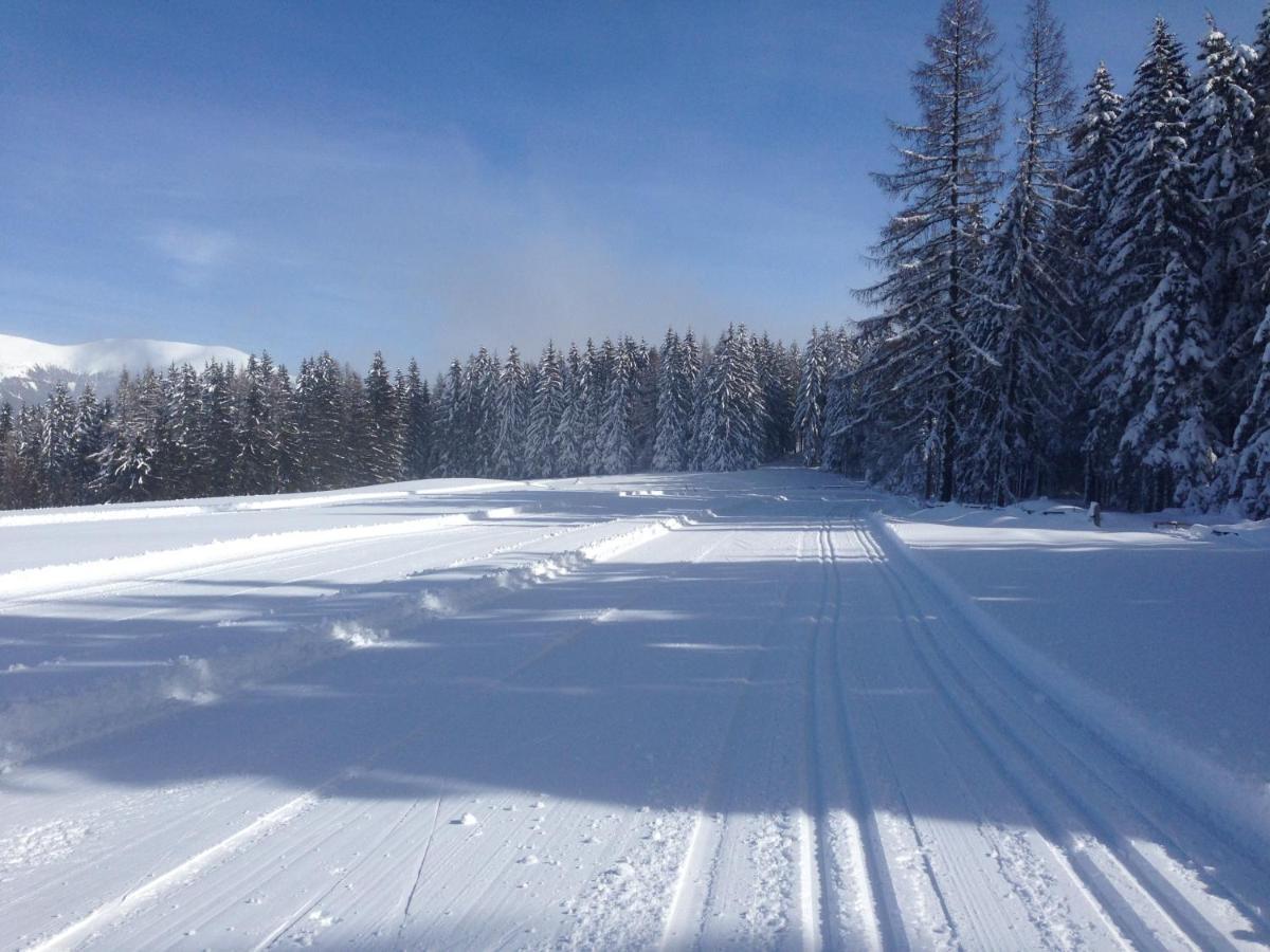 Вилла Urlaub Im Zirbenland Obdach Экстерьер фото