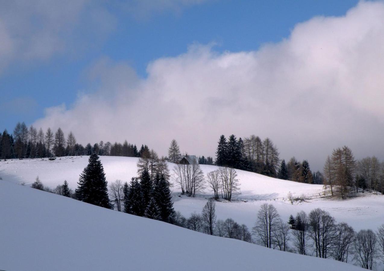 Вилла Urlaub Im Zirbenland Obdach Экстерьер фото