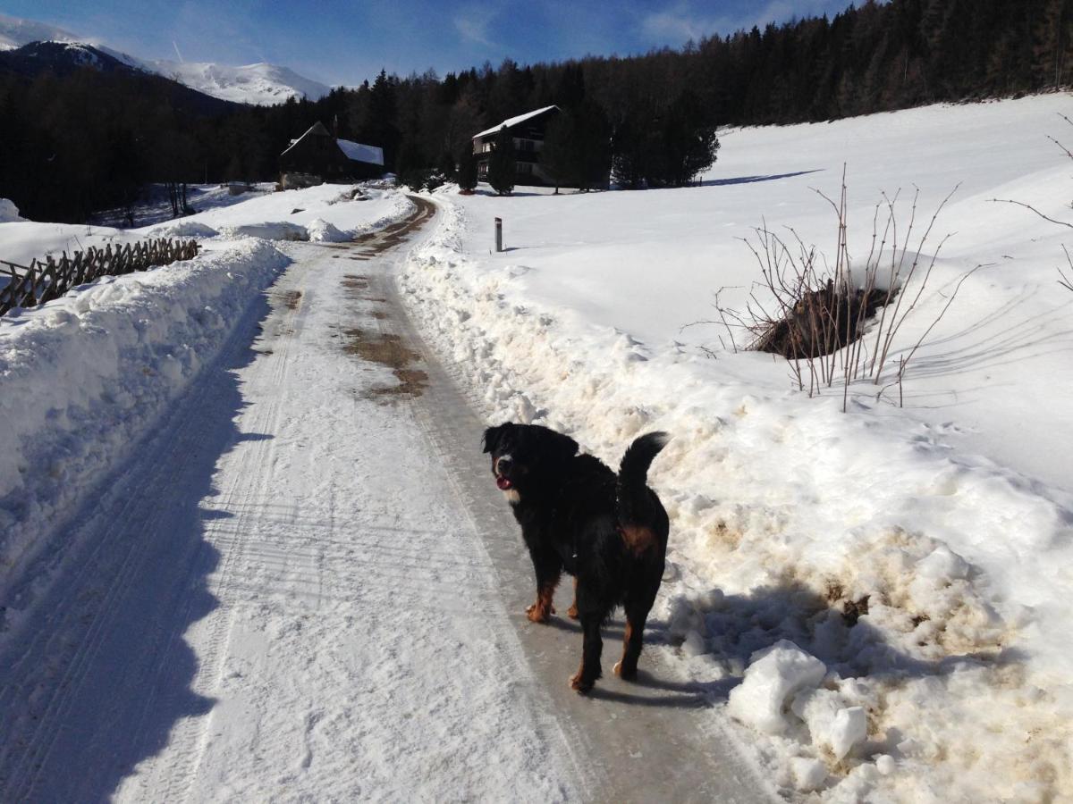 Вилла Urlaub Im Zirbenland Obdach Экстерьер фото