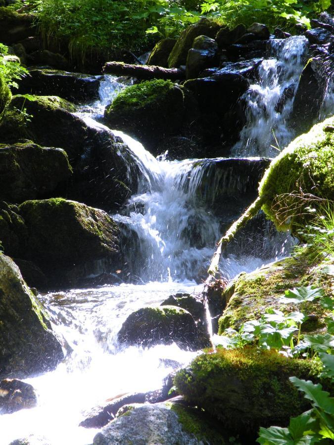 Вилла Urlaub Im Zirbenland Obdach Экстерьер фото