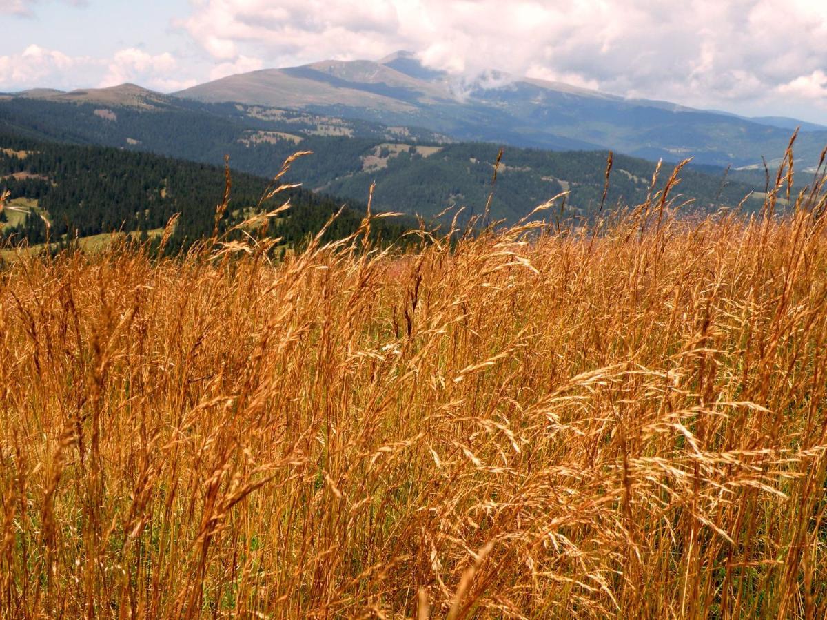 Вилла Urlaub Im Zirbenland Obdach Экстерьер фото