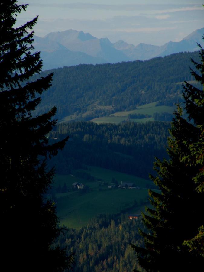 Вилла Urlaub Im Zirbenland Obdach Экстерьер фото