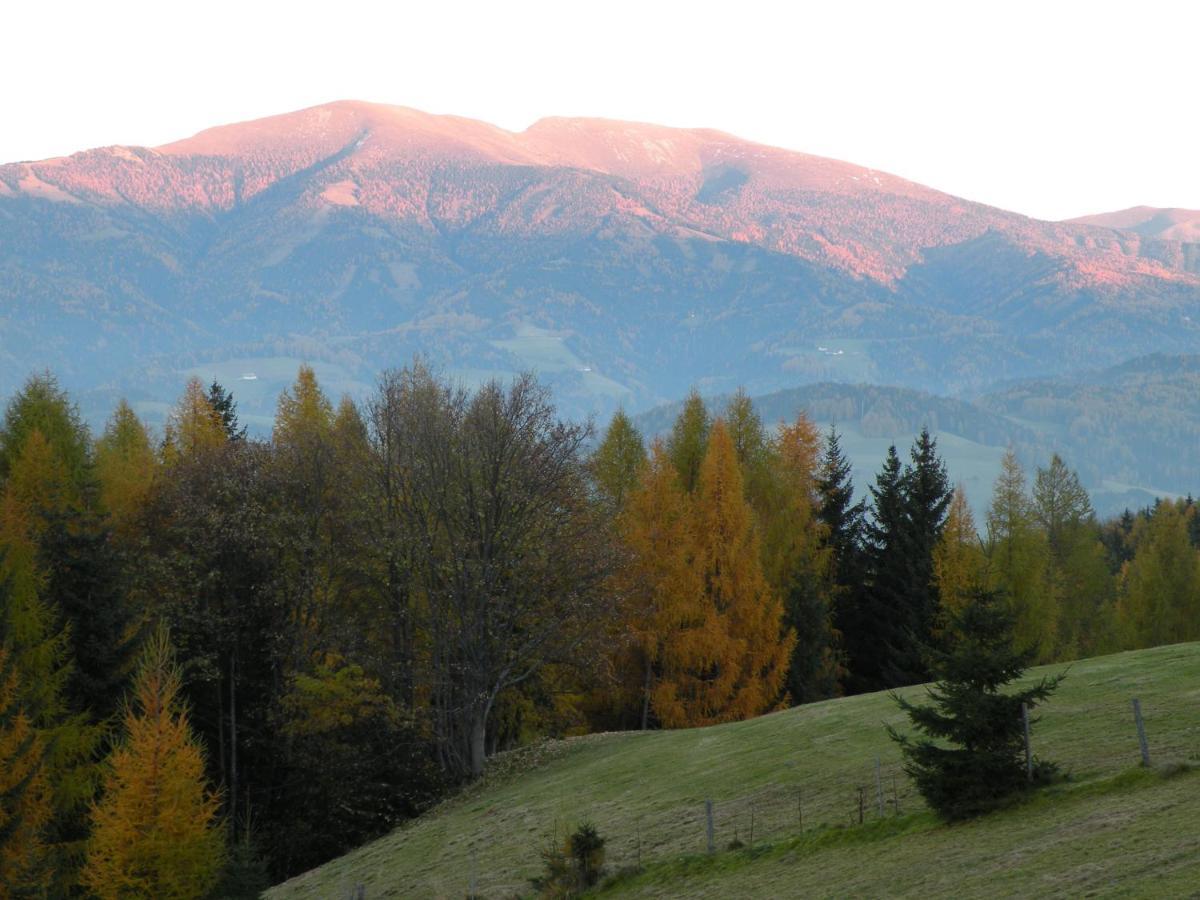 Вилла Urlaub Im Zirbenland Obdach Экстерьер фото