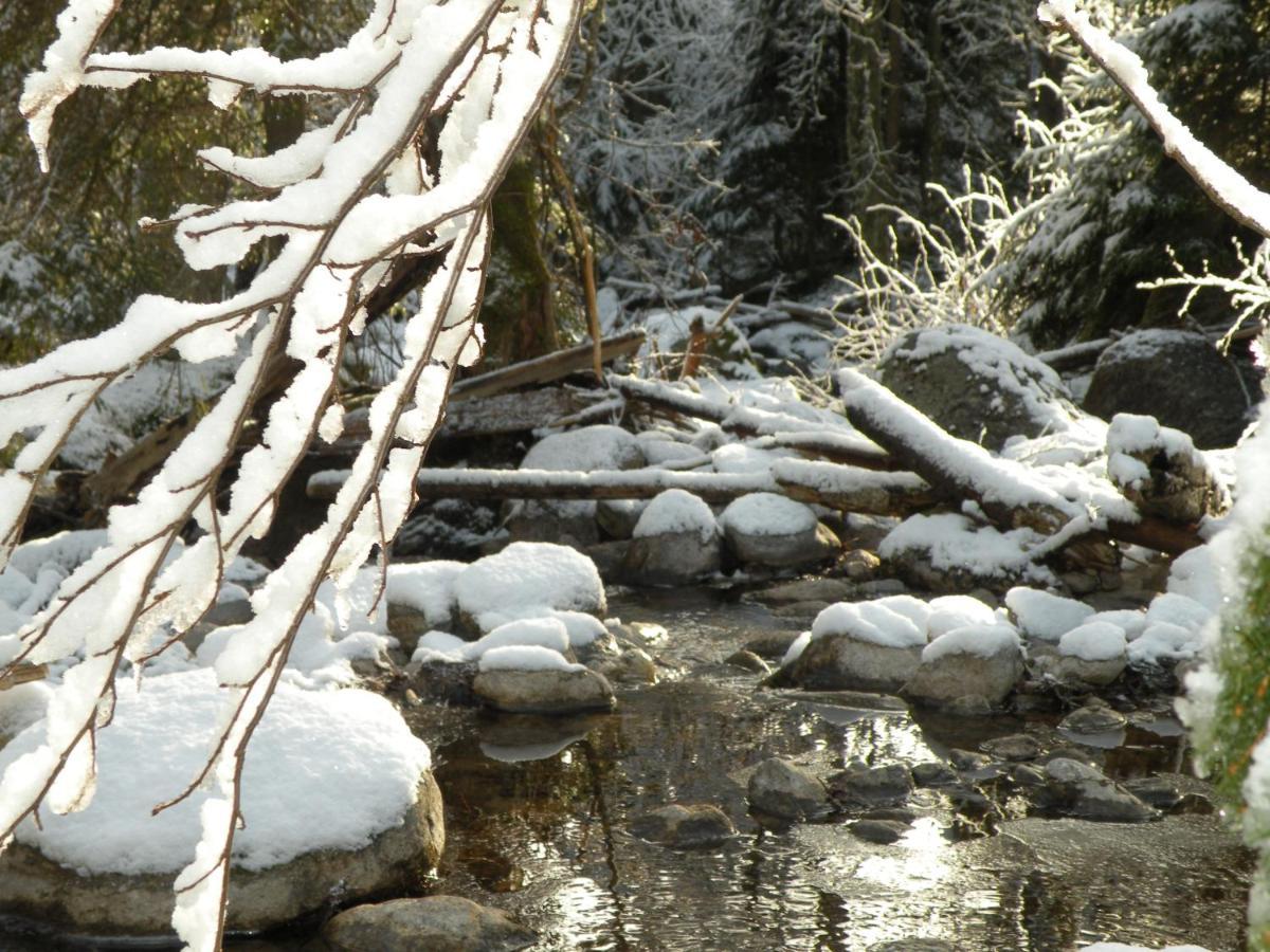 Вилла Urlaub Im Zirbenland Obdach Экстерьер фото