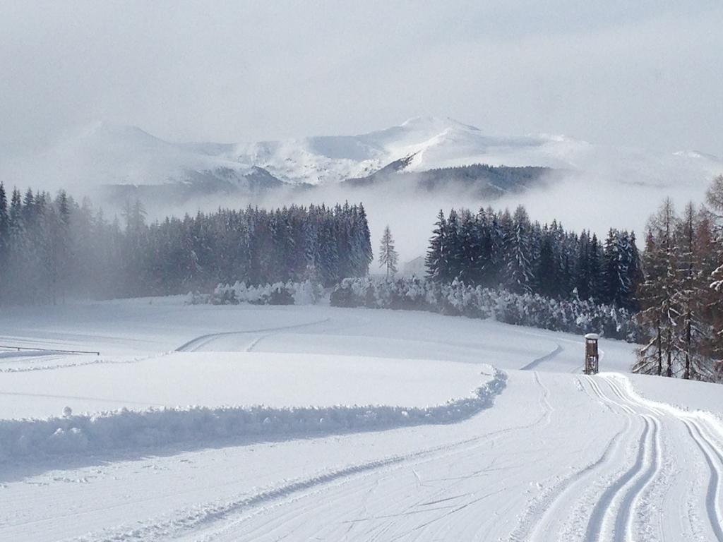 Вилла Urlaub Im Zirbenland Obdach Экстерьер фото